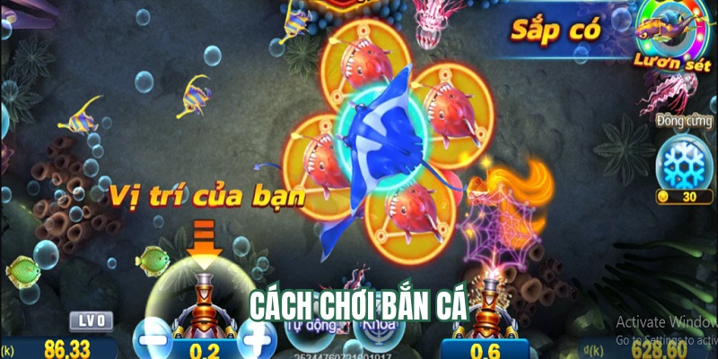 Nền tảng chia sẻ một số mẹo bắn cá online cực hay.