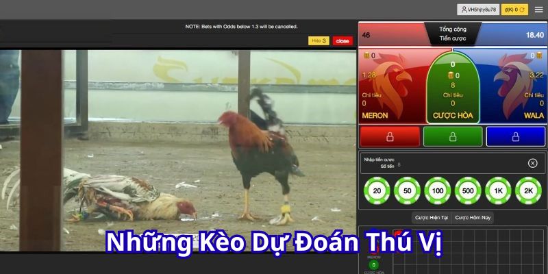 Những kèo dự đoán thú vị.