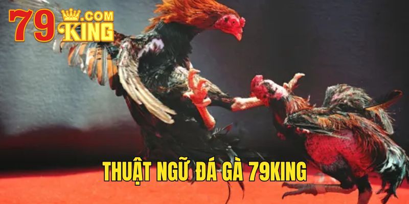 Thuật ngữ đá gà 79king.
