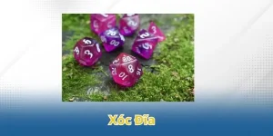 Xóc Đĩa – Game Hot Nhất Năm 2025 Tại Nền Tảng 79King
